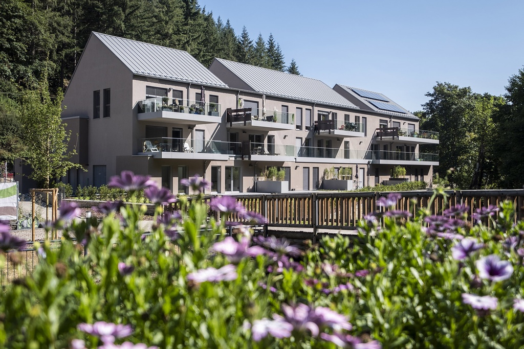 Image de référence